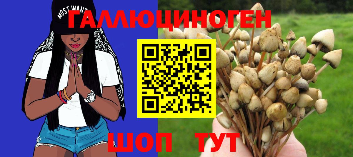 Псилоцибиновые грибы Psilocybe  что такое   Коммунар  Псилоцибиновые грибы мухоморы  Вход с VPN 